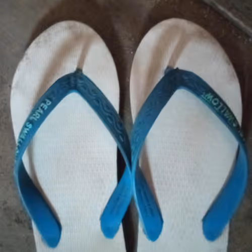 swallow sandals