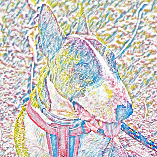 sweetest creature, Drago - old