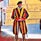 Swiss Guard - old