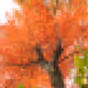 Swiss Pixels