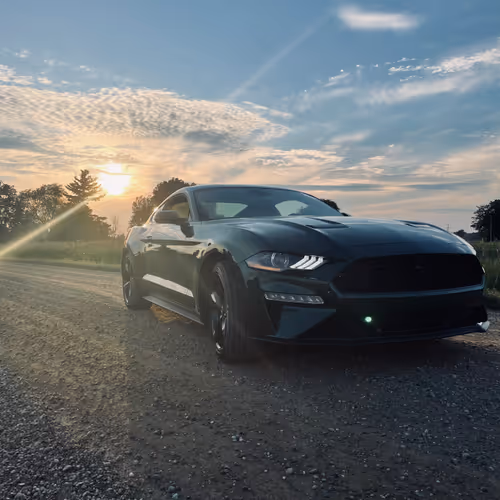 Swittys photography and art