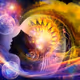 Cyber Art's