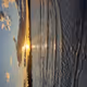 sydney harbour photos