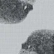 Symbiosease - old
