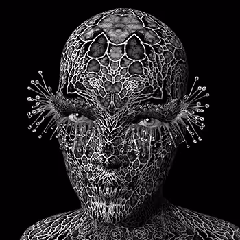 Symbiosis (sundews) by Marina Nunez