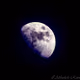 The Elegant Moon