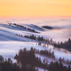 A Symphony of Fog