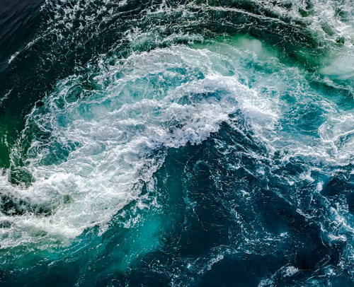 T h e  O c e a n  C o l l e c t i o n