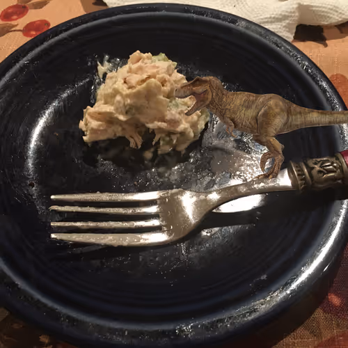 T-Rex Chicken Salad - old