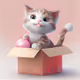 .Kitten in Box.