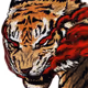 taiga
