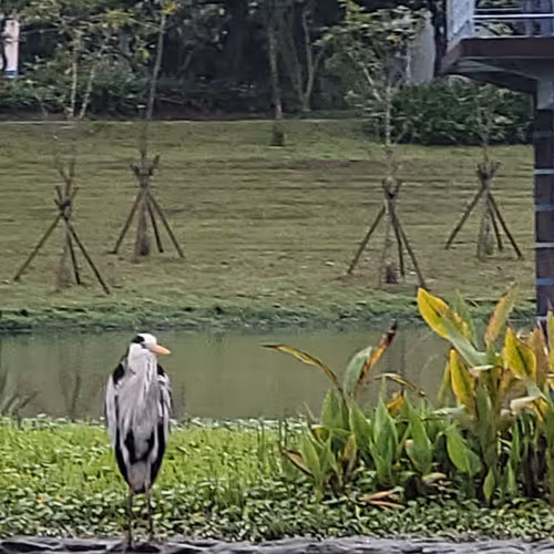 Taiwansightseeing