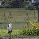 Taiwansightseeing