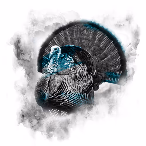 TAKC FAN ART