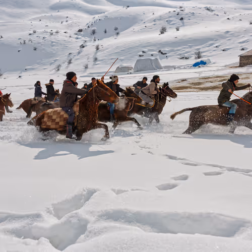 Editions by Nursen COSAR - old