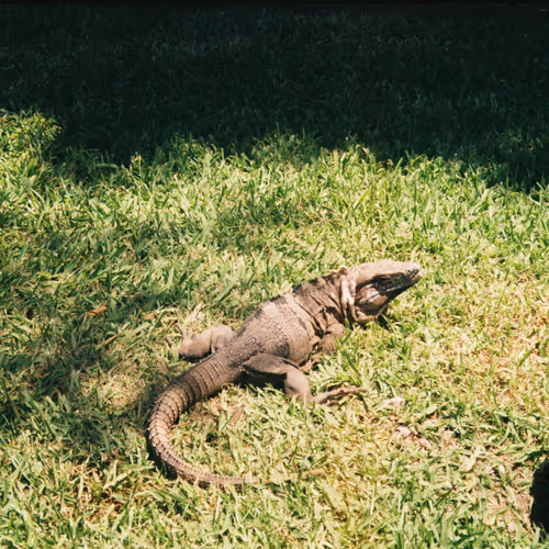 Taken on Film | Mexico