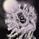 Tale of nine tails