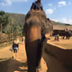 Tales in Thailand