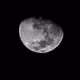Talking to the moonn