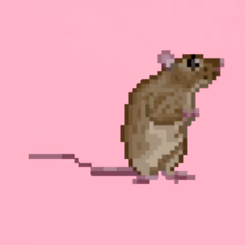 tall mouse