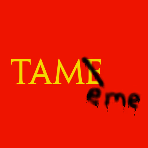 TAMeme on Chain Magazine "Cover Illustrations"