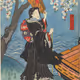 Tanka Terry's Japan Series A Poetry