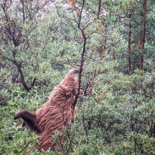Taste of Alaska
