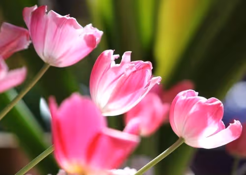 Taylor Wright Photography