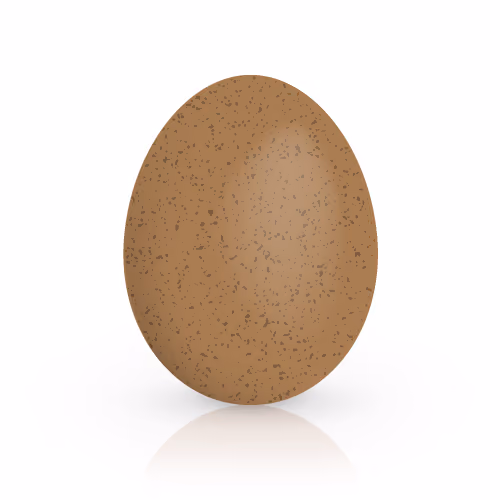 Tea egg