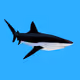 TEAM_SHARK