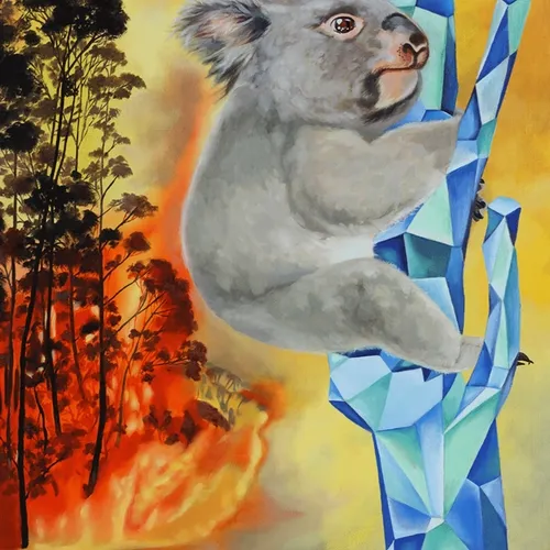 Tears of koala