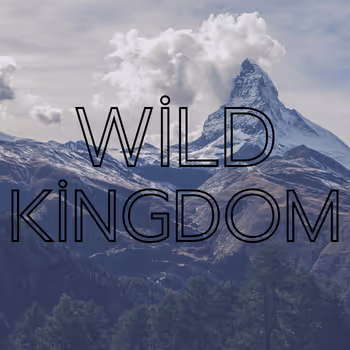 Techy_AI Wild Kingdom