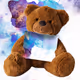 Teddy Talks