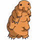 Teddy Tardigrade