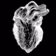Tell Tell Heart