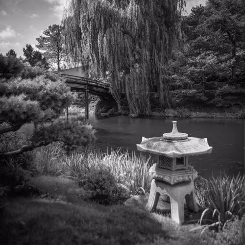 Temple Garden - Baxbox - old