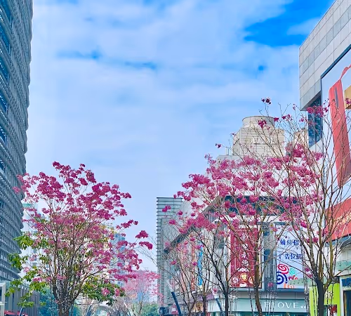 tenchi's photography