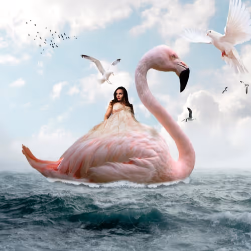 tenderness and flamingos - old