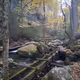 Tennessee Landscapes