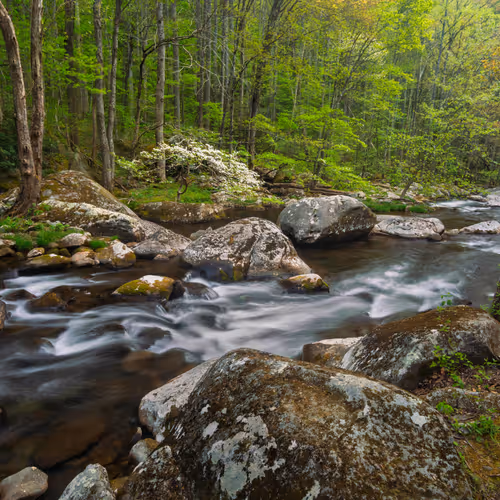 Tennessee Landscape Photography - old