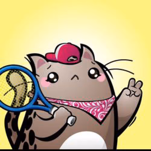 Tennis paws