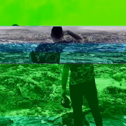 Terrestrial Aliens