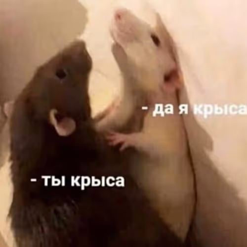 tesats