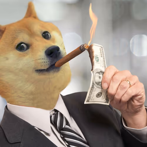 Doge Journey