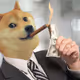 Doge Journey