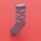 Tesla Socks NFT