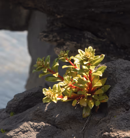 test room__k V3 - old