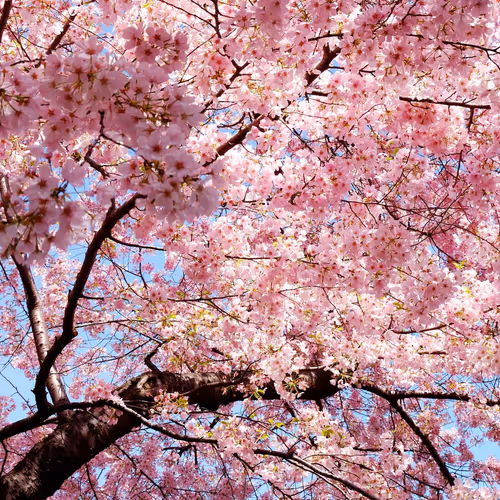 test - AcoOBKgdD8