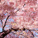 test - AcoOBKgdD8