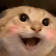 test asu